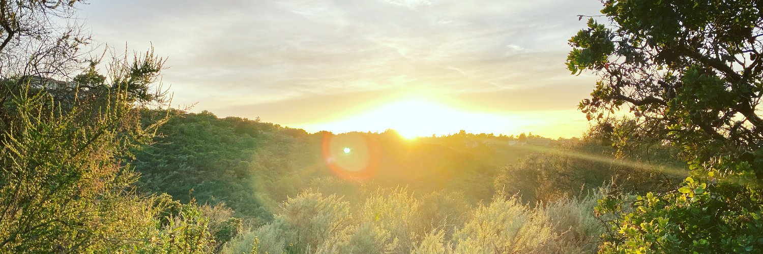 mandyco's profile banner image