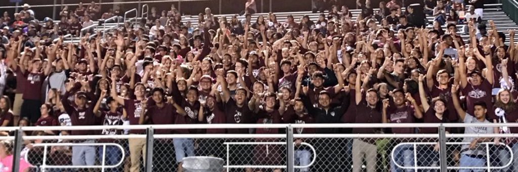 _ROWDY_RAMS_'s profile banner image