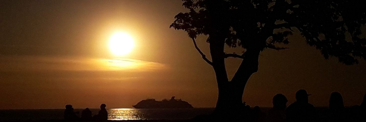 Sofi0032's profile banner image