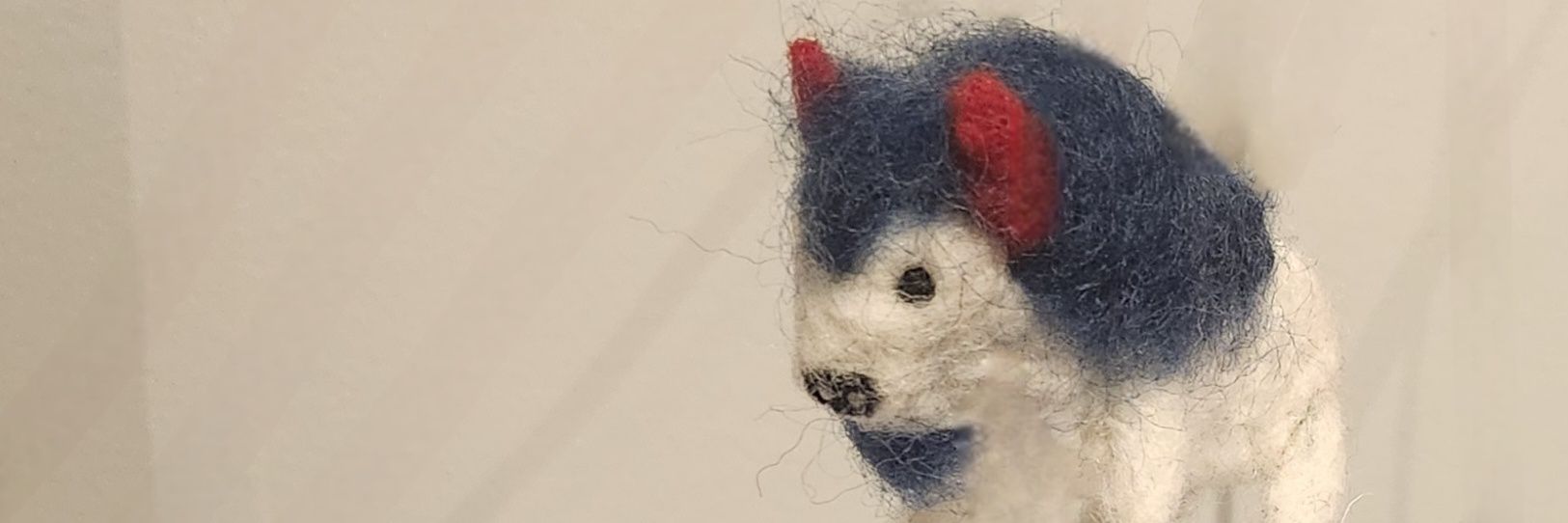 Bronagh Morgan banner