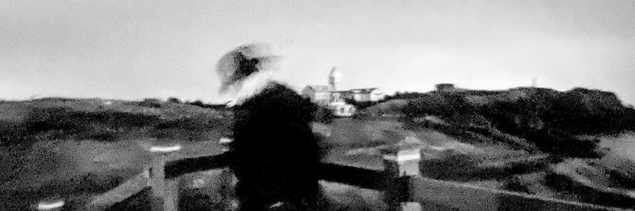 aninn__'s profile banner image