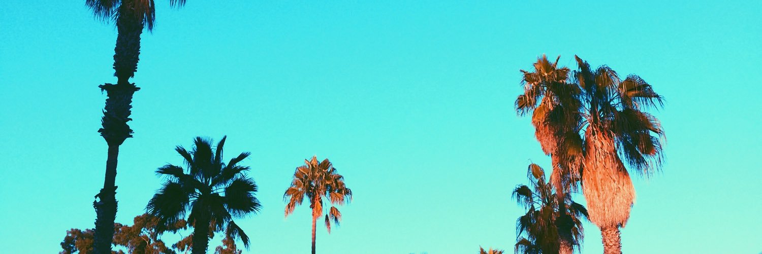 Gubbriellaa's profile banner image