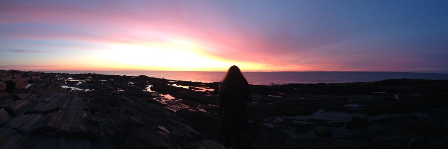 lizmaclee's profile banner image