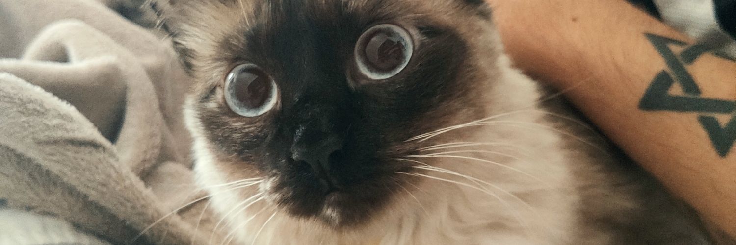 Pooh_Isaac's profile banner image