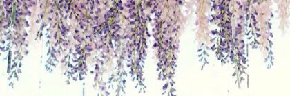 Meg_Mancini's profile banner image