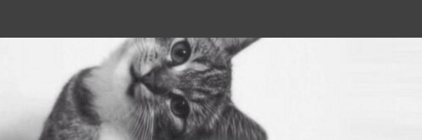 HammerAdams's profile banner image