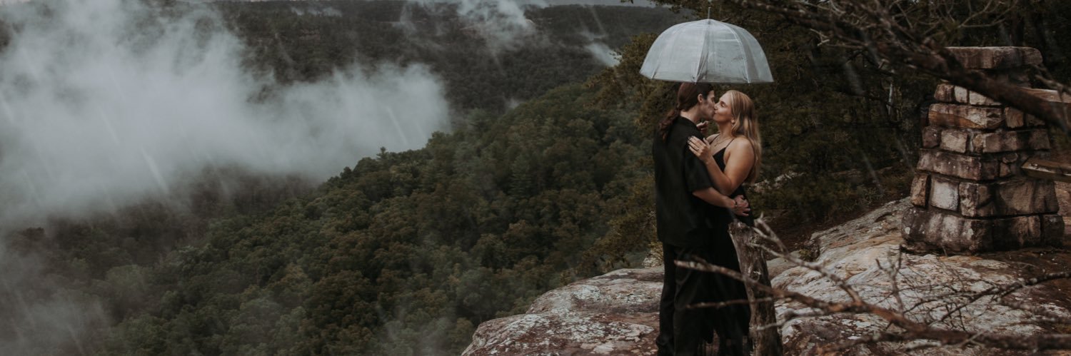 AlexDaBigCat's profile banner image