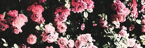 breatherlr's profile banner image