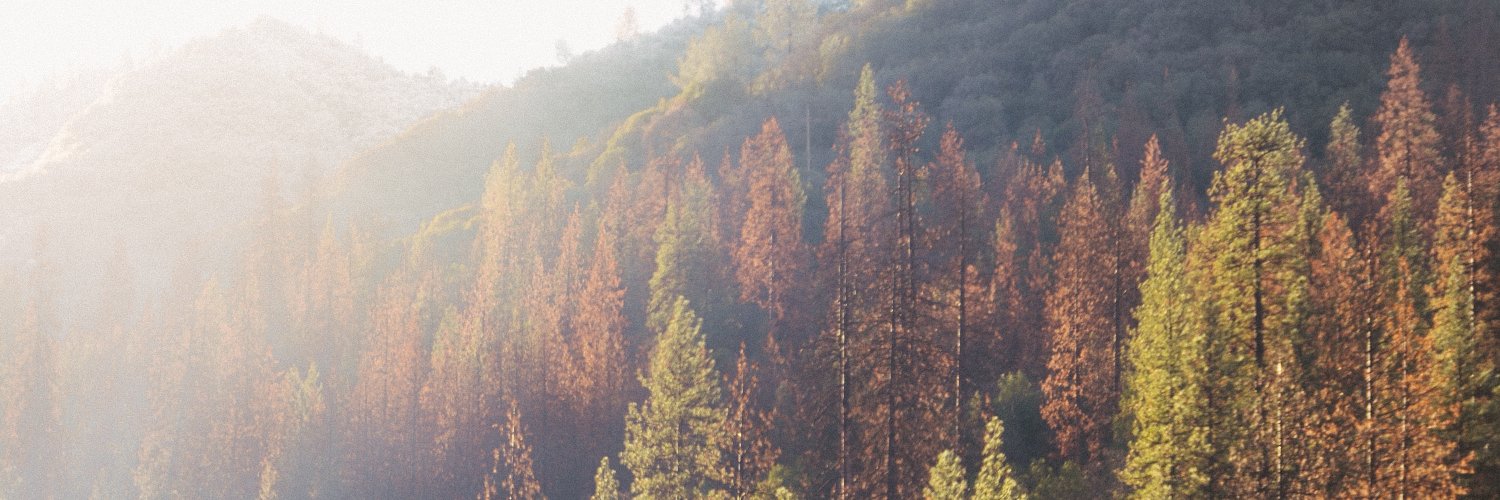 hspang97's profile banner image