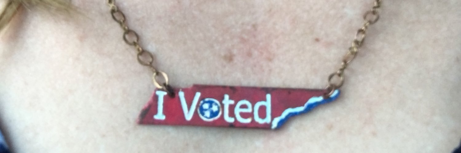 SarahVotes's profile banner image