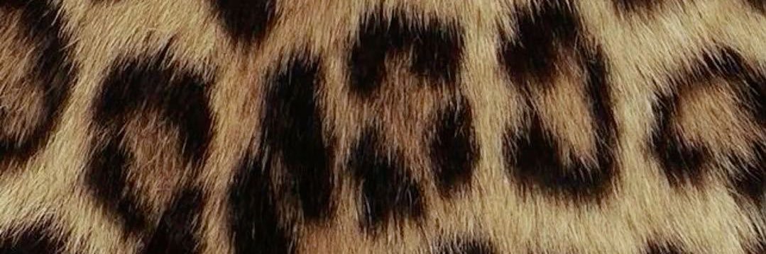 kay ⭐️ banner
