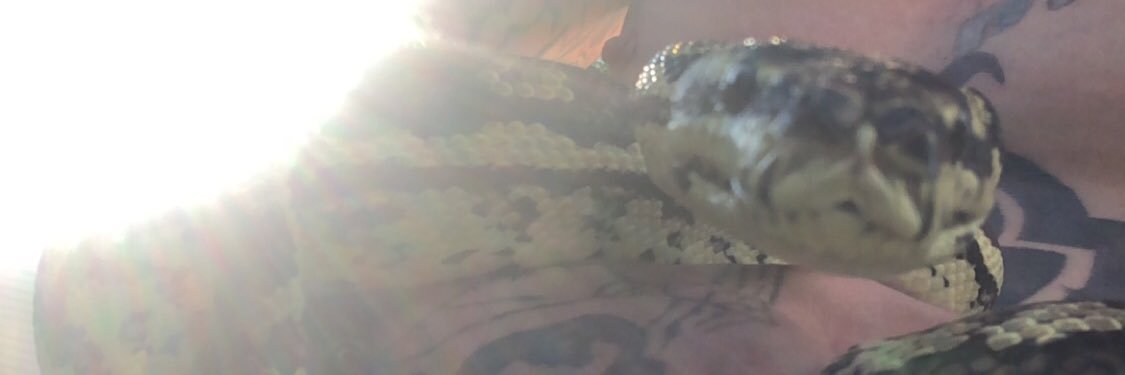 jbezel_'s profile banner image