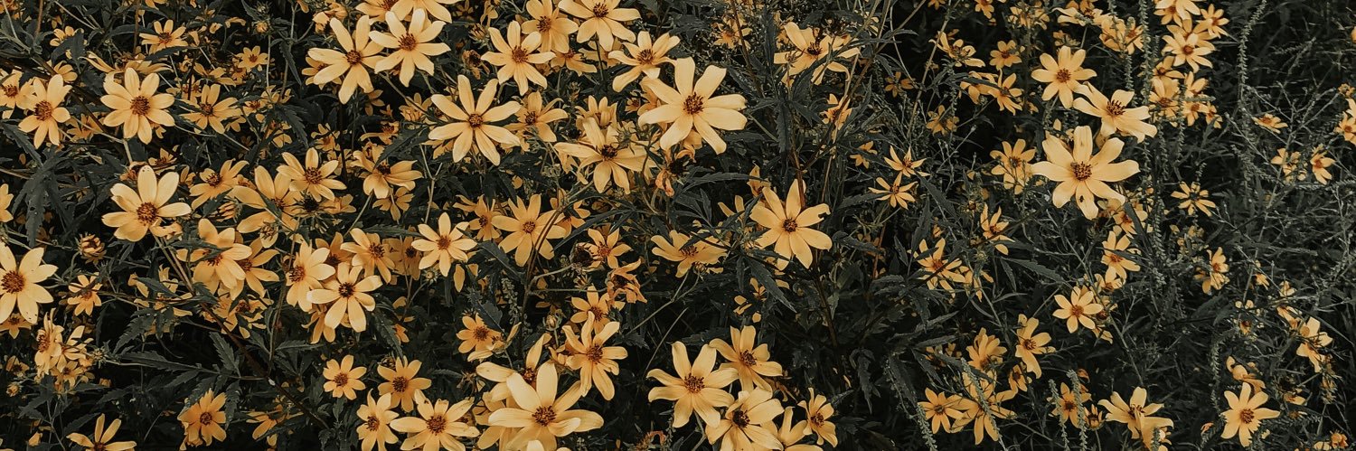Kayla_DTaylor's profile banner image