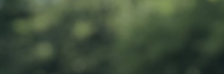 Your Mother banner