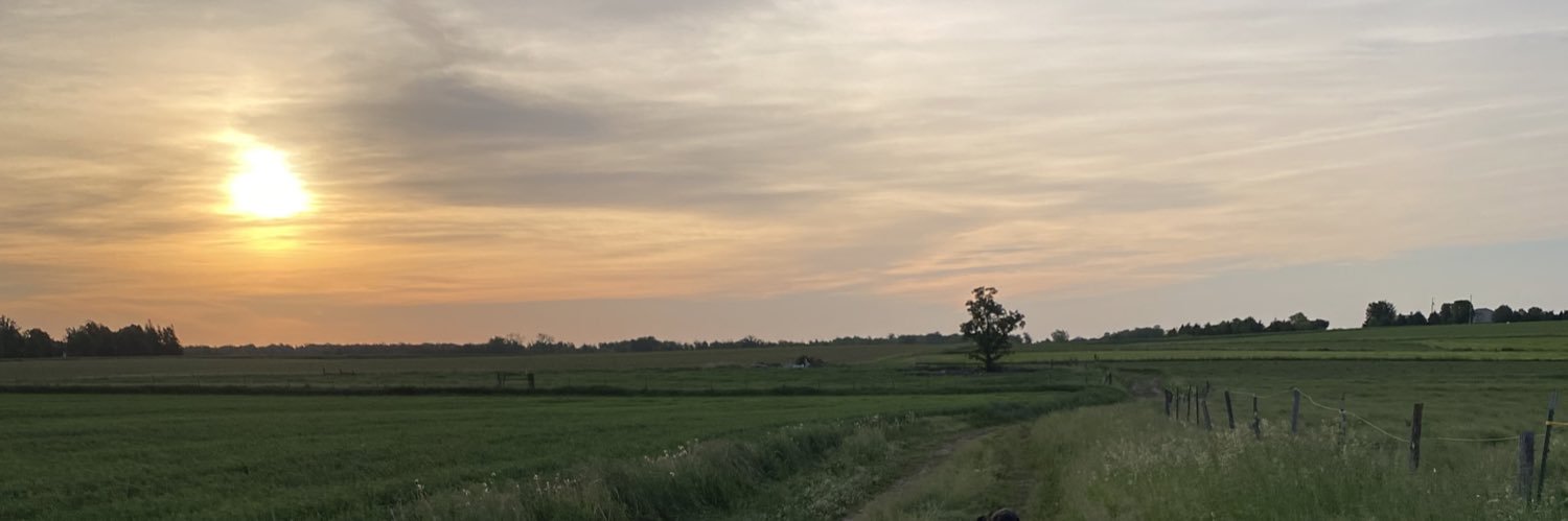 callylynn00's profile banner image