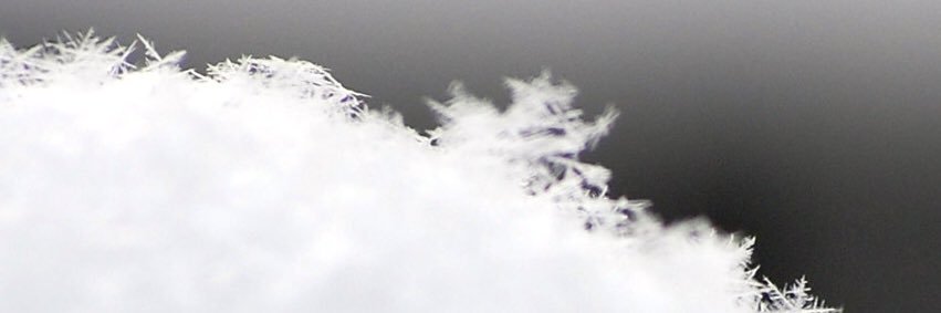 sin_z1's profile banner image
