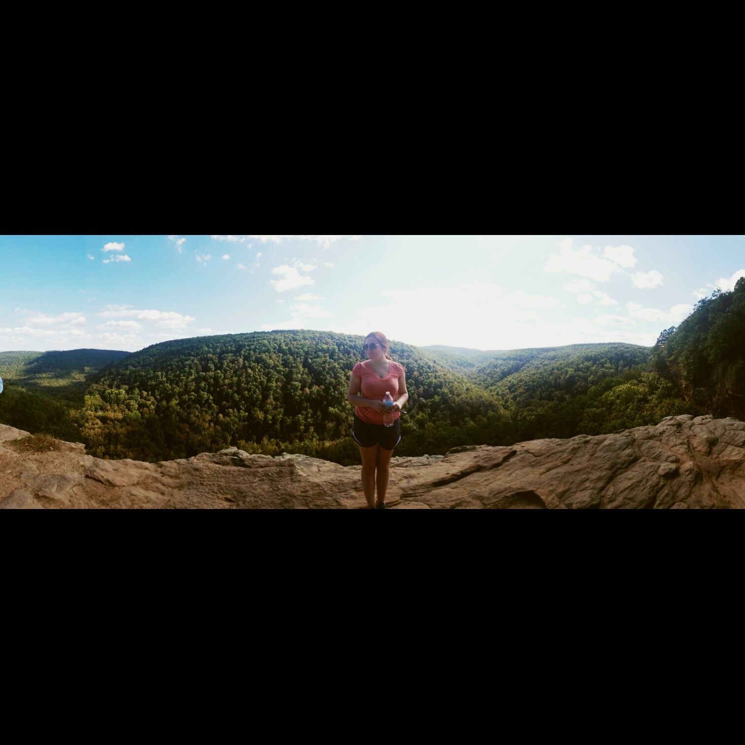 AddieFlowers's profile banner image
