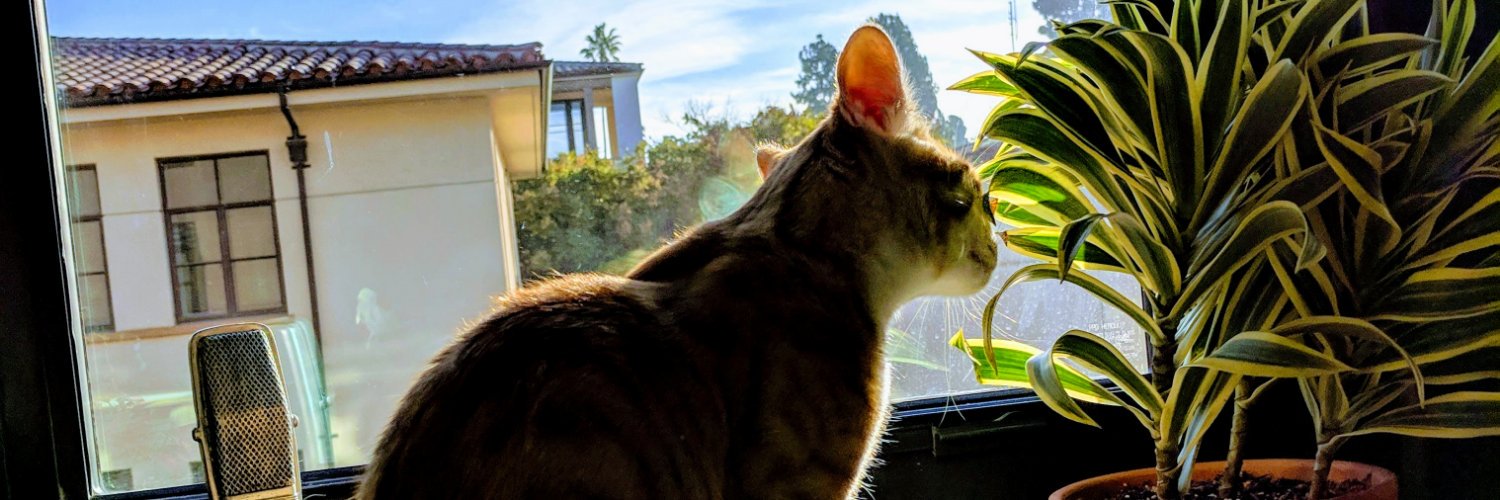 tookmaniac's profile banner image