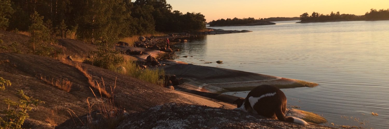 KickiF's profile banner image