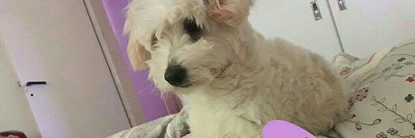 GaillardCarla Profile Banner