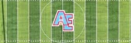 Austin-East Roadrunners banner