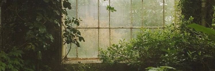 squid ( ♡ ‿ ♡) banner