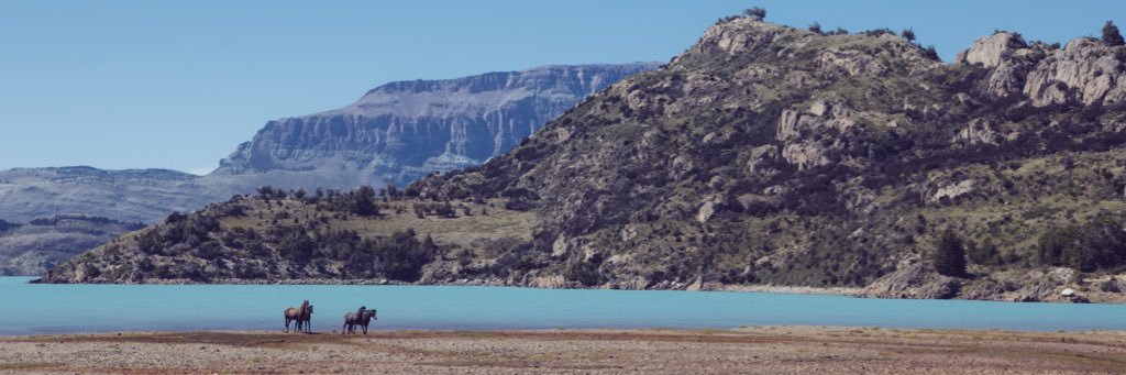 MadeleineSP's profile banner image