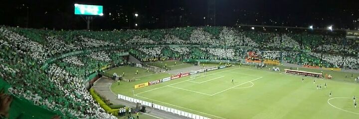taizonverde's profile banner image
