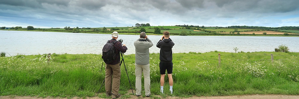 Bird Watching banner