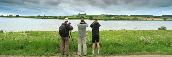 BirdWatchingMag Profile Banner
