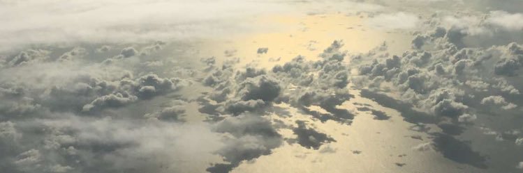 saraAlmenea's profile banner image