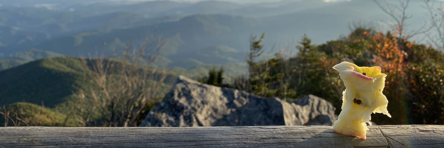 jellerlearning's profile banner image