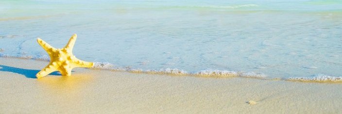 angnakah's profile banner image