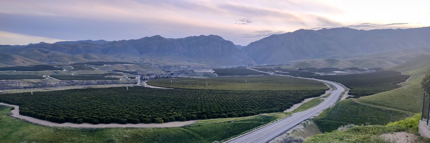 aNaturalAnswer's profile banner image