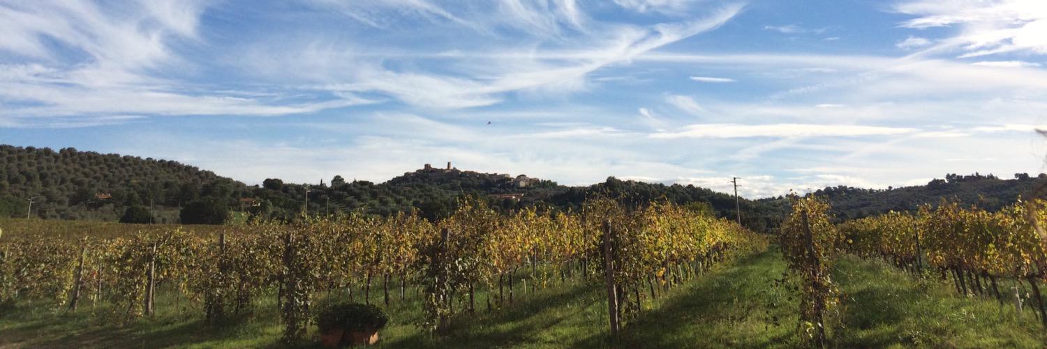 FabrizioDA's profile banner image