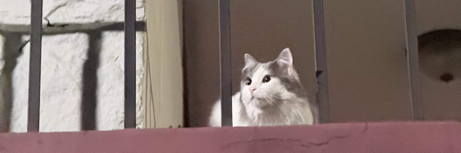 waaaachoo's profile banner image