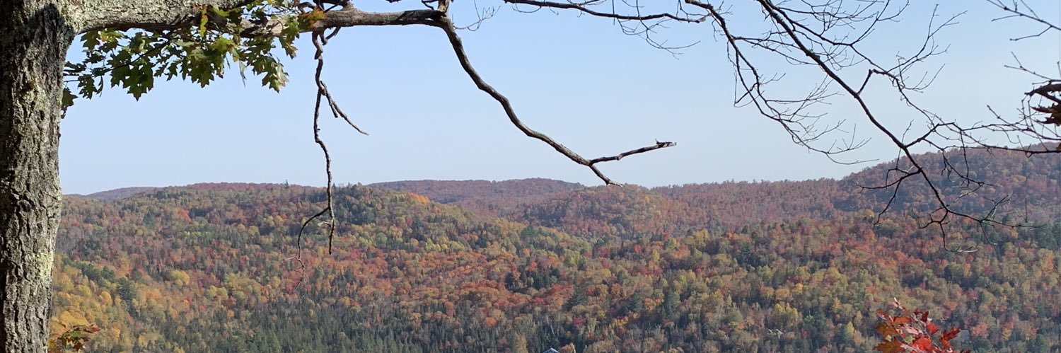 nick_boisver's profile banner image