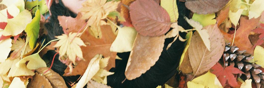 spiderkyu's profile banner image