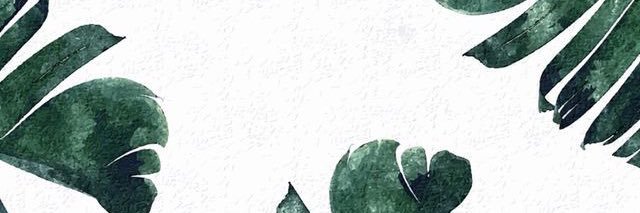 jesj33s's profile banner image