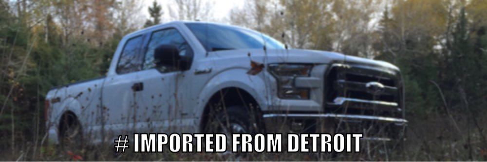 HeyYoDooly's profile banner image