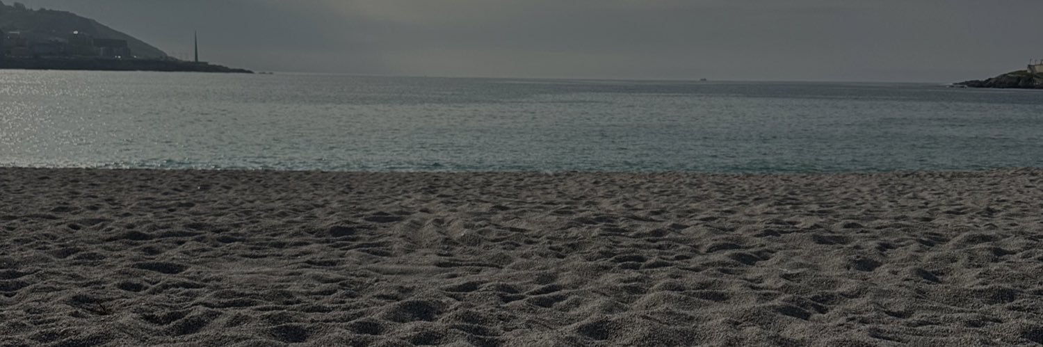 AllysonTabora's profile banner image