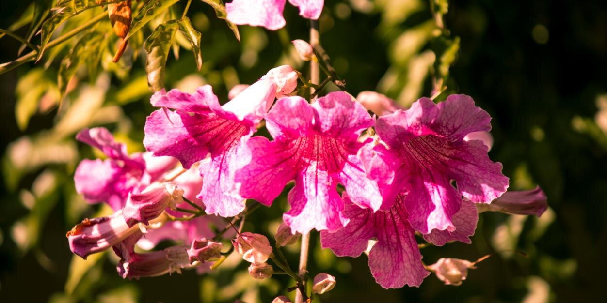 katelabat's profile banner image
