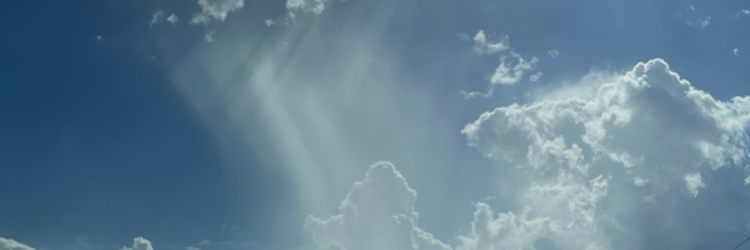 _telida's profile banner image