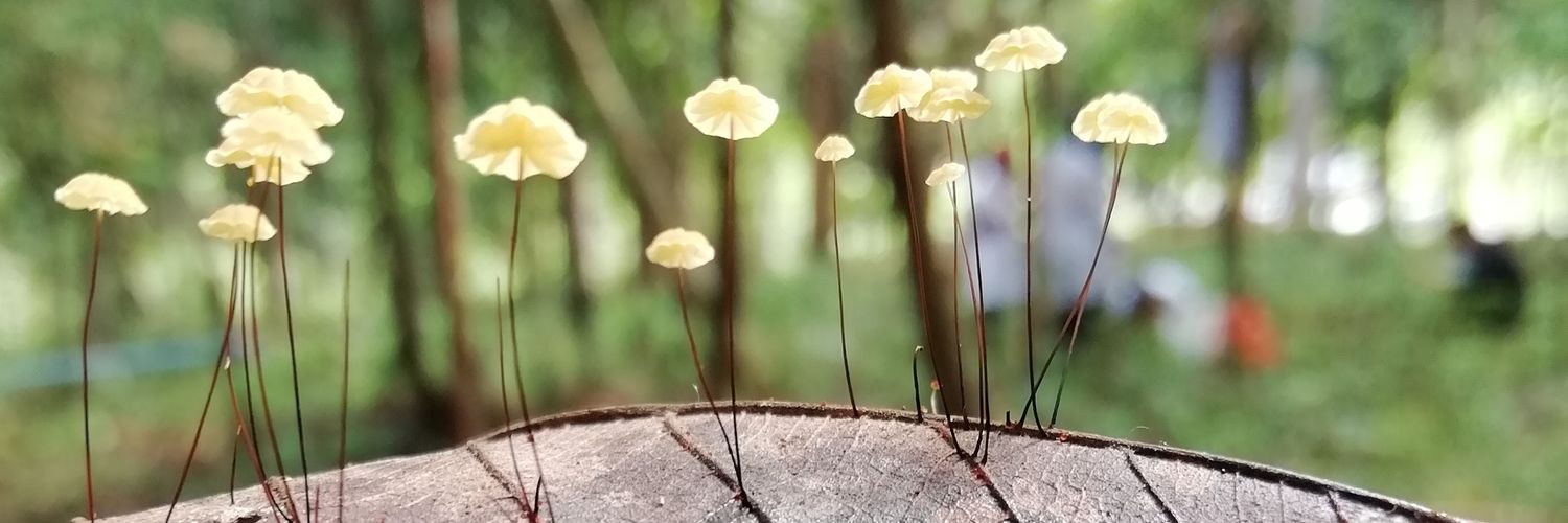 Hendra Muslim banner