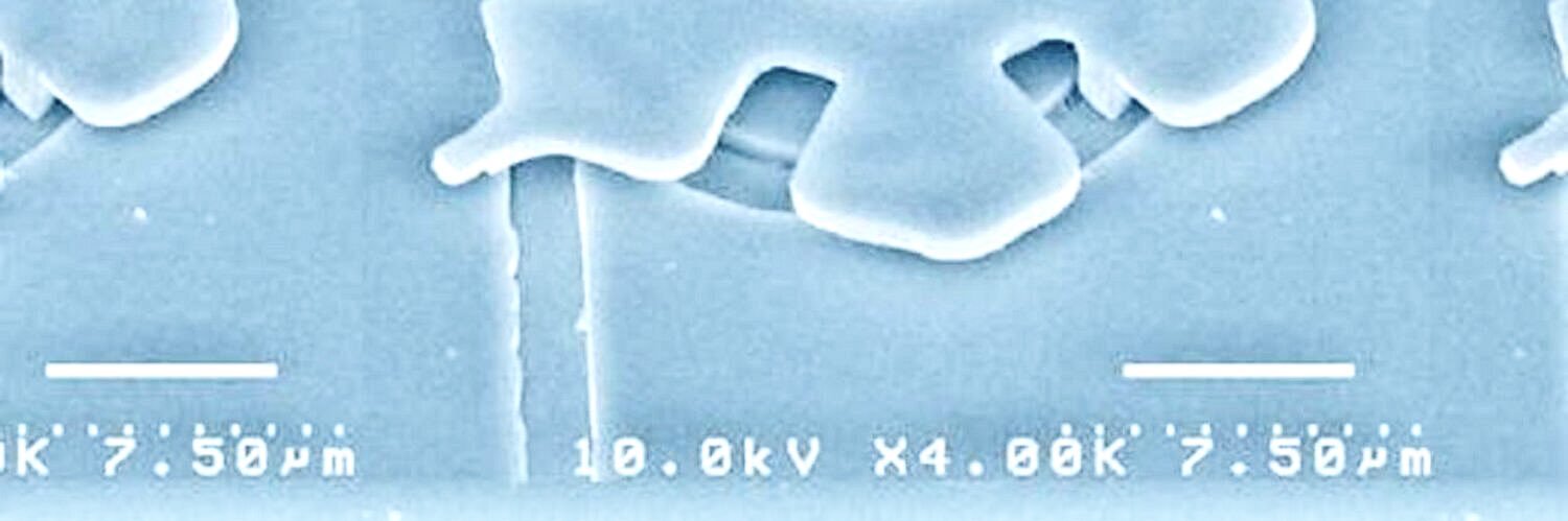 有村肯弥｜Kohya Arimura🪼 banner