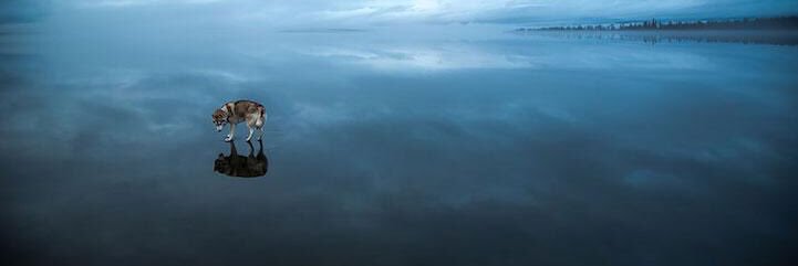 supi2407's profile banner image