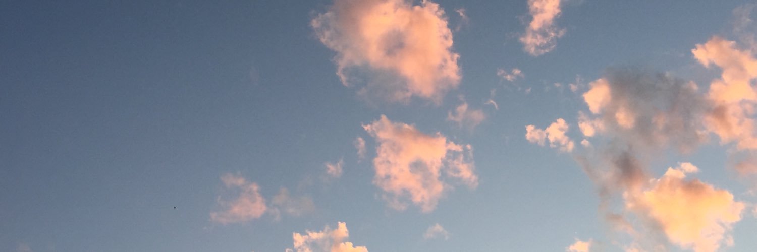 amyparker96's profile banner image