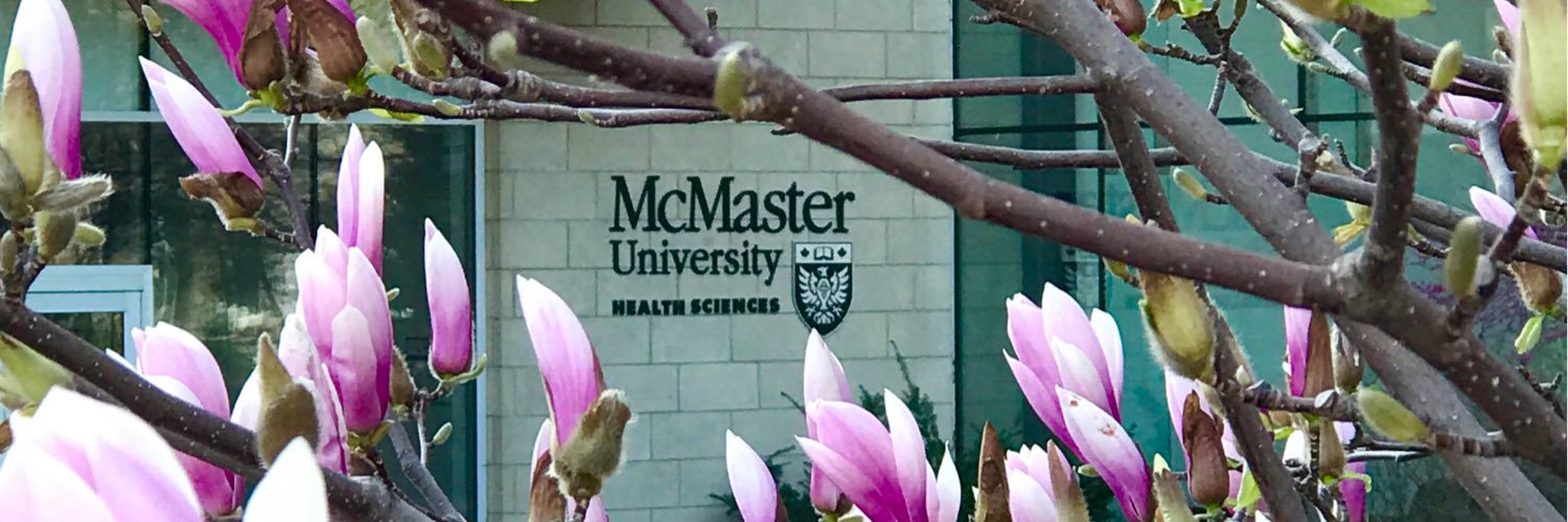 BHSc (Hons) Program banner
