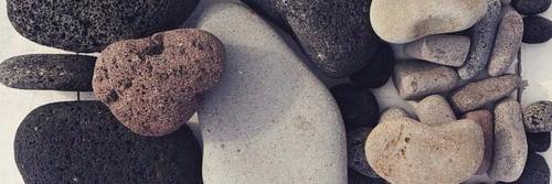 monicaditza's profile banner image