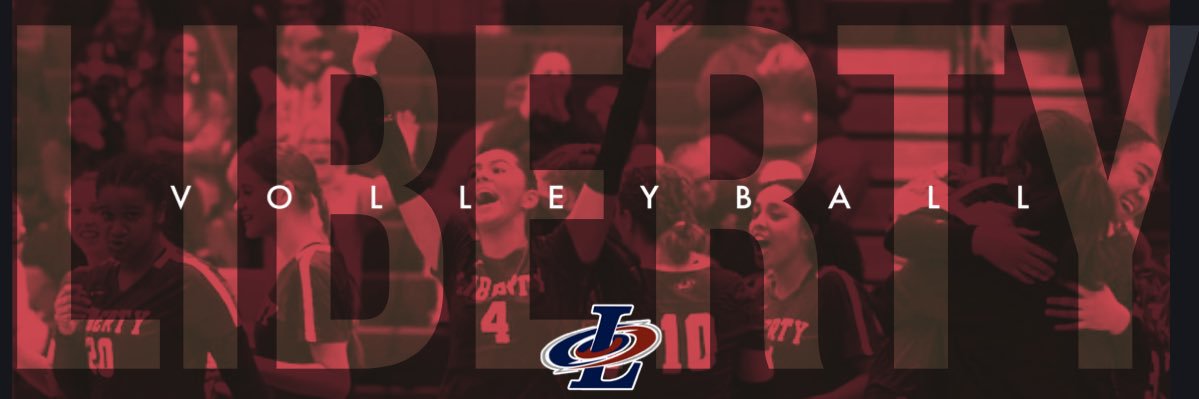 LibGirlsVball's profile banner image